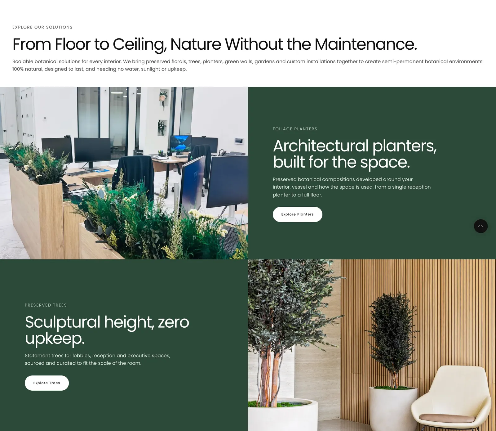 Nordblooms homepage solutions rows on dark green panels: architectural planters and preserved trees, each with a photograph and a link